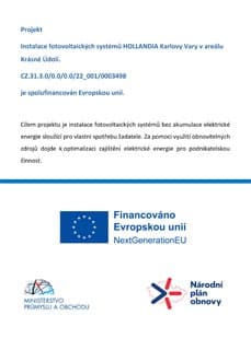 download item - Stáhnout