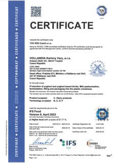 download item - Stáhnout